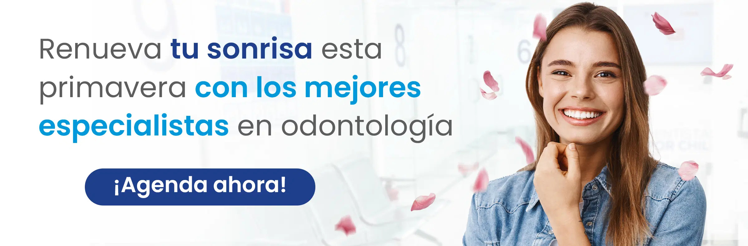 Banner Primavera