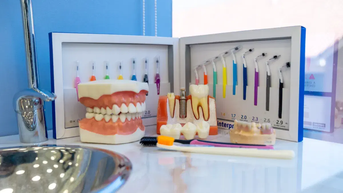 Modelos dentales y set de cepillos interdentales de colores que se usan en la clínica para enseñar la higiene en casa