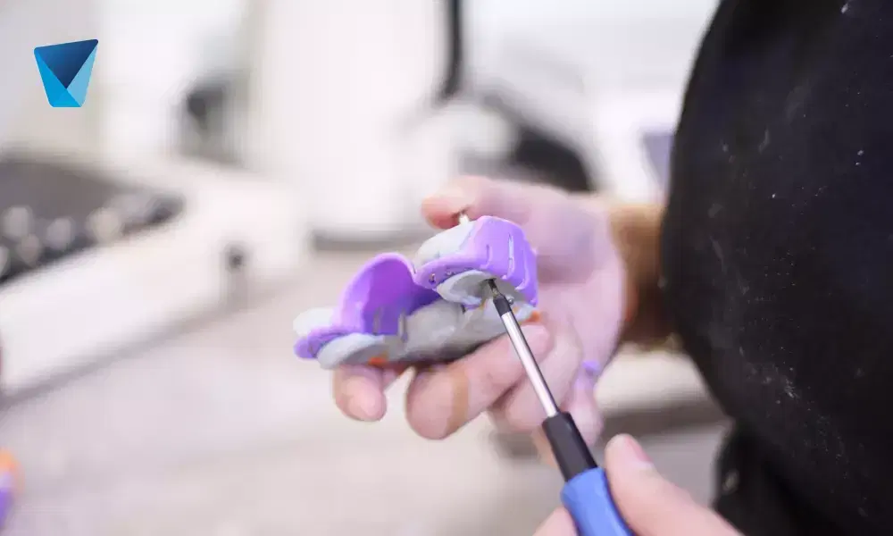 Explora la anatomía detallada de los dientes permanentes, comprende el proceso de erupción dental en niños y conoce las mejores prácticas de cuidado e higiene para mantener una sonrisa sana y fuerte en Chile. Dientes Permanentes: Guía Completa de Anatomía, Erupción y Cuidados